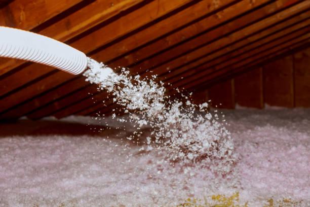 Reliable Mount Pleasant, SC Foam Insulation Services Solutions